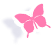 about-icon about-icon